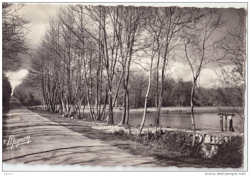 CPSM - CERISIERS (89) - Etang De Saint Ange - Cerisiers