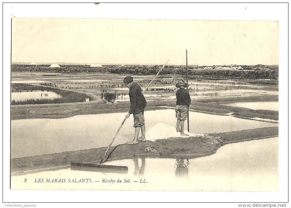 Cp, Métiers, Les Marais Salants, Récolte Du Sel - Altri & Non Classificati