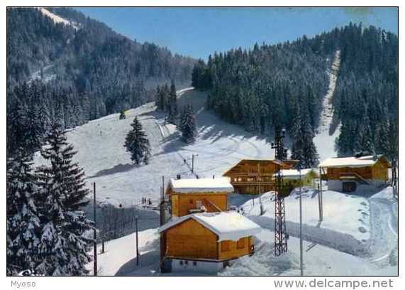 38  ST PIERRE D'ENTREMONT Le Planolet Les Pistes De Ski - Saint-Pierre-d'Entremont