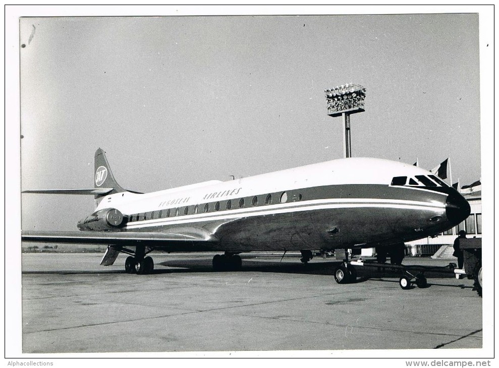 AVION  -  AVIATION  -  CARAVELLE JUGOSLAV AIRLINES  -   13 X 18 Cm - Aviation