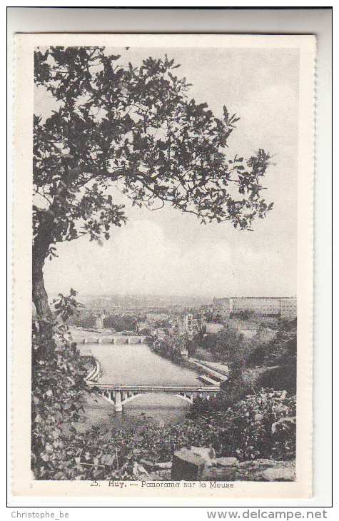 Huy, Panorama Sur La Meuse (pk15411) - Hoei