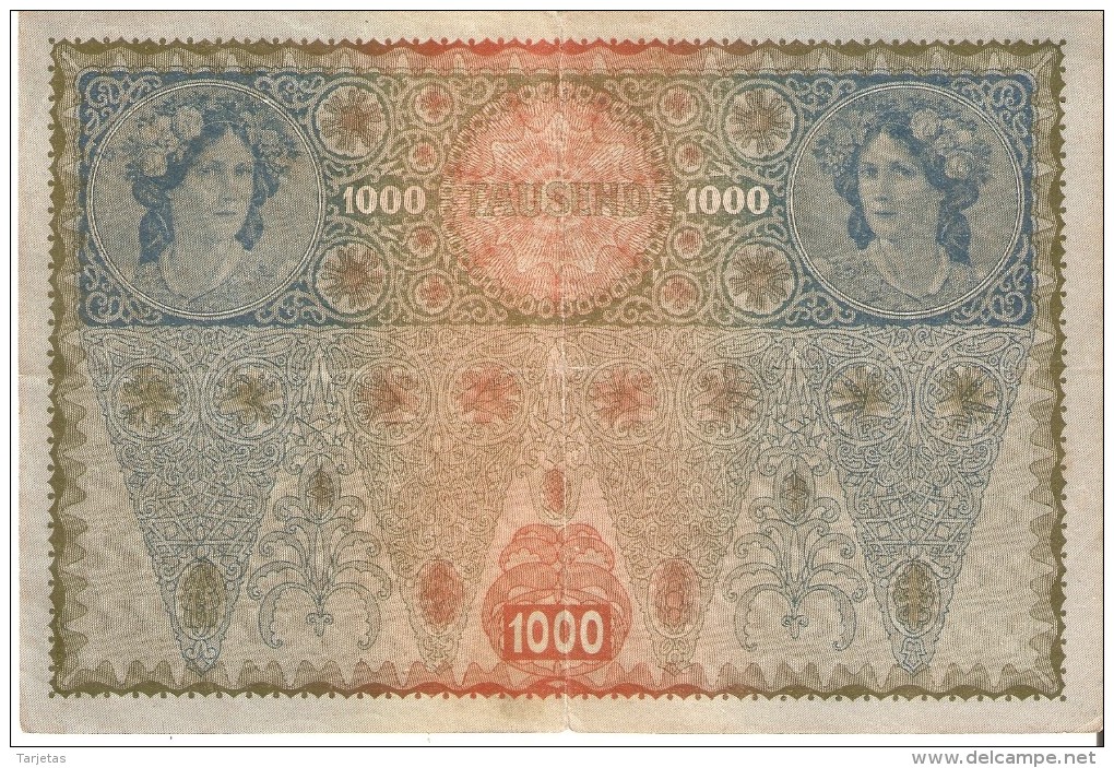 BILLETE DE AUSTRIA DE 1000 KRONEN  DEL AÑO 1902 (BANK NOTE) 1ª AUFLAGE - Austria