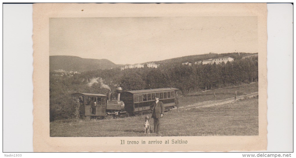 SALTINO - Altri & Non Classificati