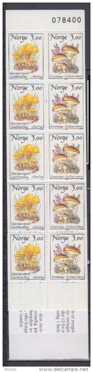 NORVEGE    1989            N°   C966       COTE    17 € 50 - Booklets