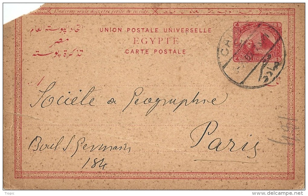 Carte - Lettre      Entiers Postaux    D' Egypte            (  Angle Coupé ) - 1866-1914 Khedivate Of Egypt