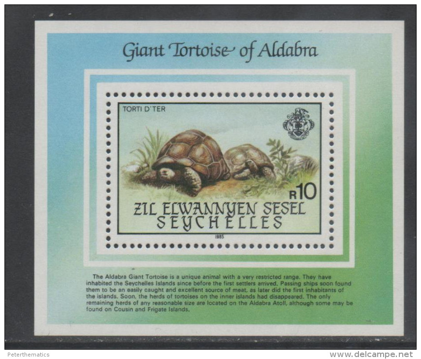 SEYCHELLES, ZIL ELWANNYEN SESEL,  1985, MNH, TURTLES, TORTOISES, S/SHEET, HIGH CV. - Turtles