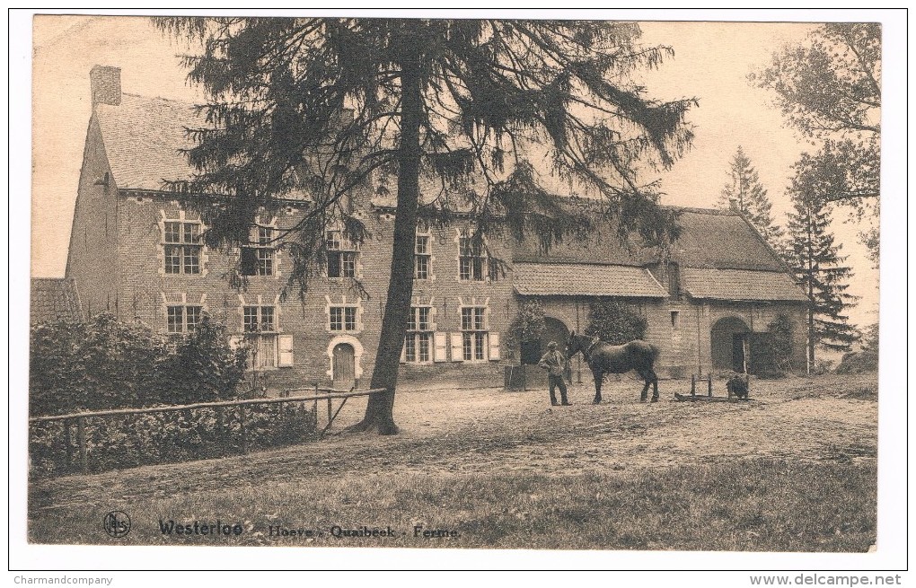 Westerloo - Hoeve Quaibeek - Ferme - Circulée - Edit. A. Geerts-Berghmans - Westerlo