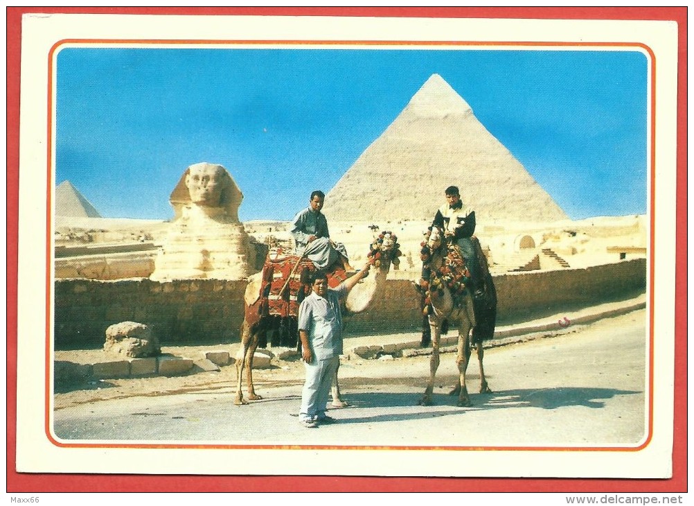 CARTOLINA NV EGITTO - GIZA - Cammelli - La Sfinge E La Piramide Di Chefren - 10 X 16 - Gizeh