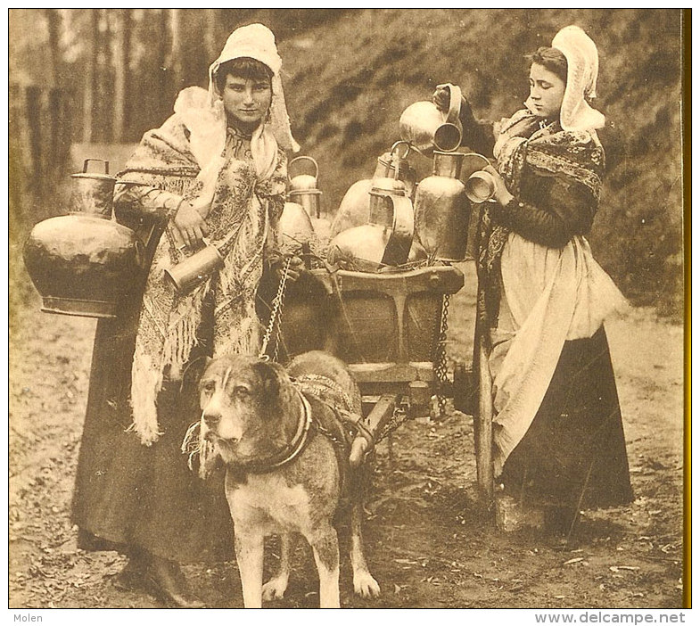 LAITIERE FLAMANDE & ATTELAGE De CHIEN Hondenkar Melk-meisje Dog Drawn Cart Milk-maid Voiture à Chiens Hundekarre 2176 - Autres & Non Classés