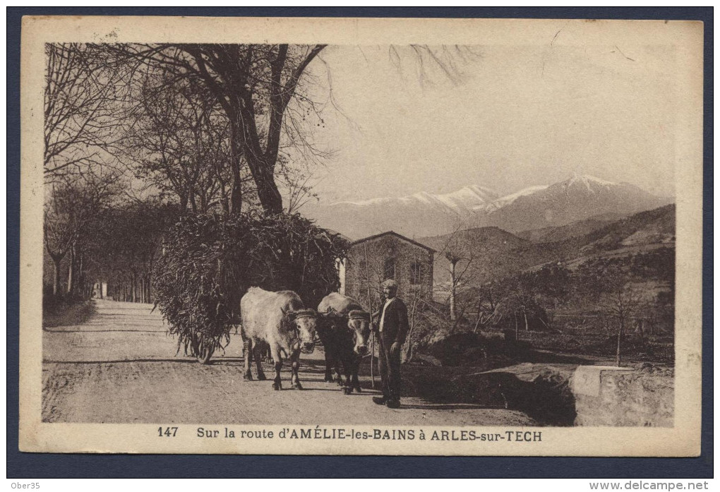 Sur La Route D'amelie Les Bains à Arles Sur Tech - Sournia