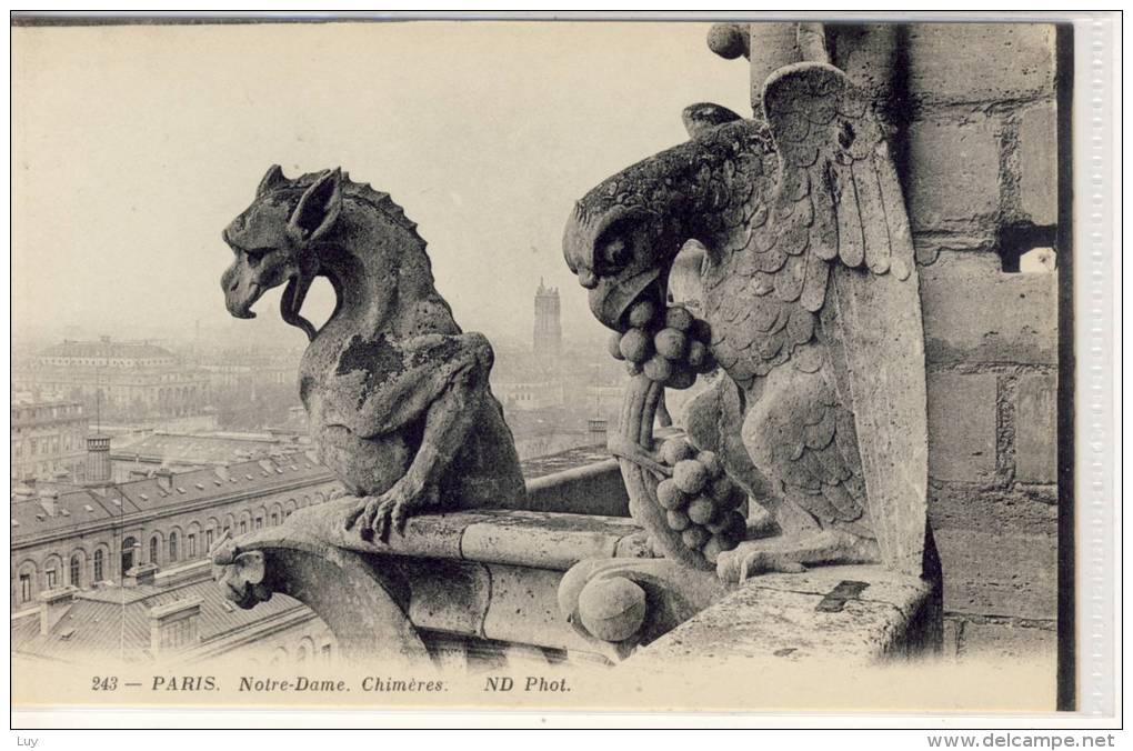PARIS. Notre-Dame. Chimère, Art Grotesque, Statue,  ND Phot - Sculptures