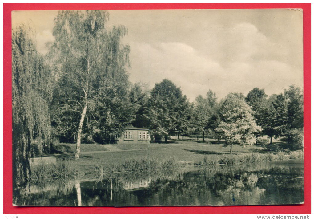 158764 / Limbach-Oberfrohna - IM STADTPARK - Germany Deutschland Allemagne Germania - Limbach-Oberfrohna