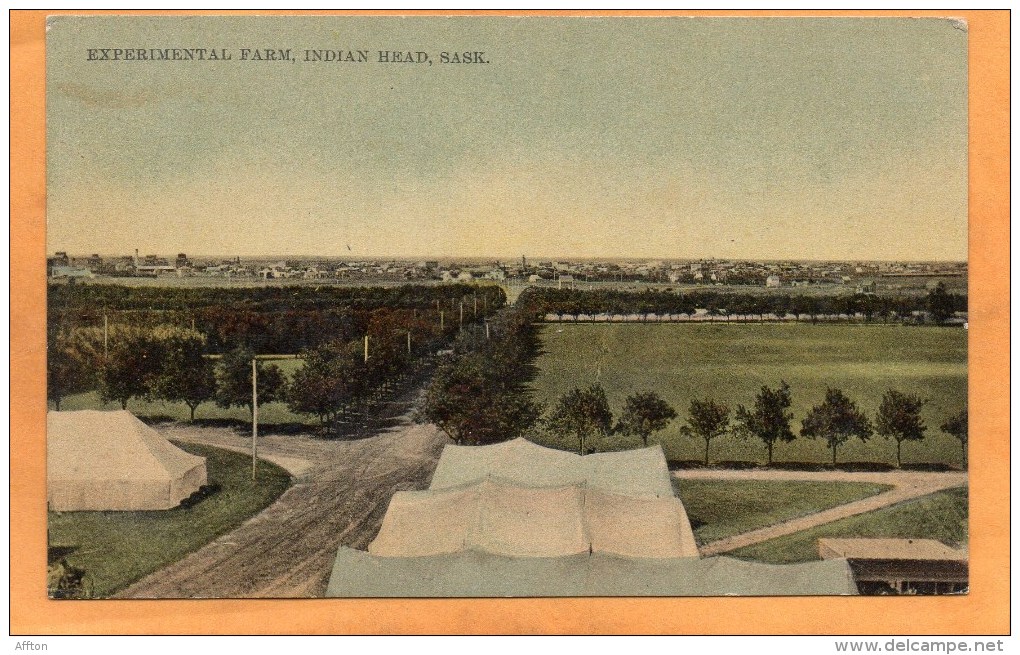 Experimental Farm Indian Head 1911 Postcard - Autres & Non Classés