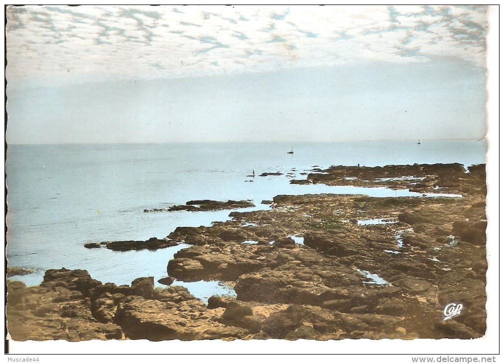 PREFAILLES - ROCHERS DE LA POINTE SAINT GILDAS - Préfailles