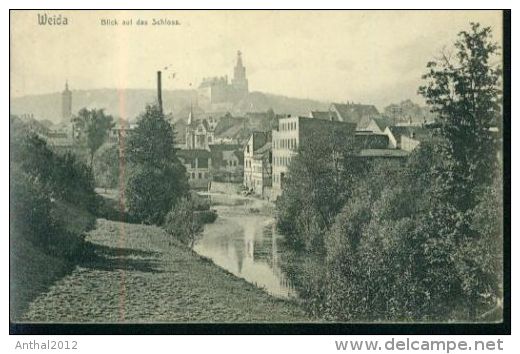 Weida Blick Auf Das Schloss Häuser 29.10.1907 - Weida
