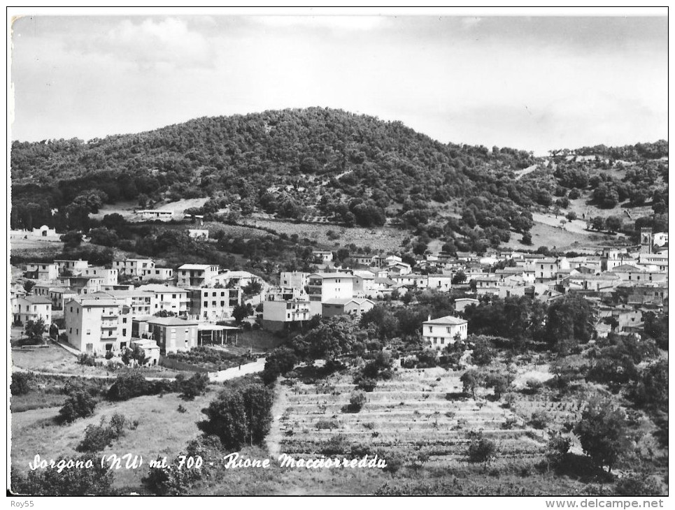 SARDEGNA-NUORO-SORGONO VEDUTA PANORAMA RIONE MACCIORREDDU - Altri & Non Classificati