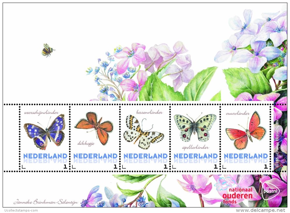 Nederland  2014  Vlinders 2   Schmetterlinge Papillon Butterflies   Velletje /sheetlet  Postfris/mnh/neuf - Nuevos