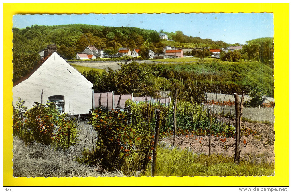 VALLEE D'ESCAUT : MONT DE L ENCLUS * SCHELDE-DAL : KLUISBERG - ORROIR - KLUISBERGEN 2538 - Kluisbergen