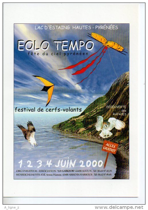 REF 207 CPM Freecard Type Cart'com Lac D'Estaing Eolo Tempo Cerf Volant Chouette Hibou AUCUN 65400 - Publicité