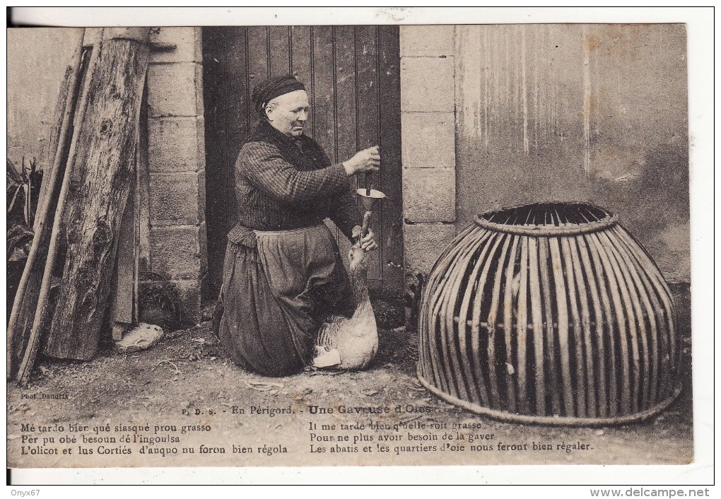 AQUITAINE-PERIGORD- Gaveuse D'Oies-ANIMAUX-OISEAU-METIER-INDUSTRIE-Femme Au Travail-2 SCANS - - Autres & Non Classés