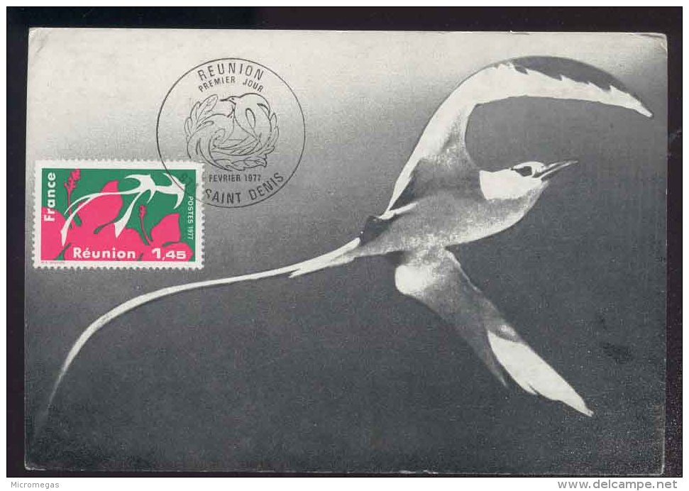 FDC Premier Jour - Réunion - 1977 - Avec La Carte Maximum - 1970-1979