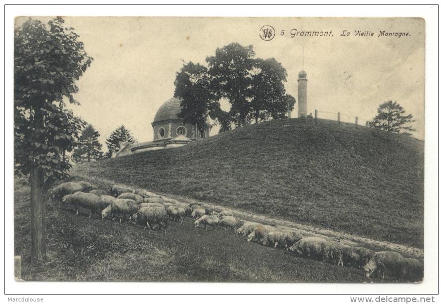 Geraardsbergen. Grammont. De Oudenberg. Kapel En Schapen. La Vieille Montagne. Chapelle Et Moutons. Stempel: 1911. - Geraardsbergen