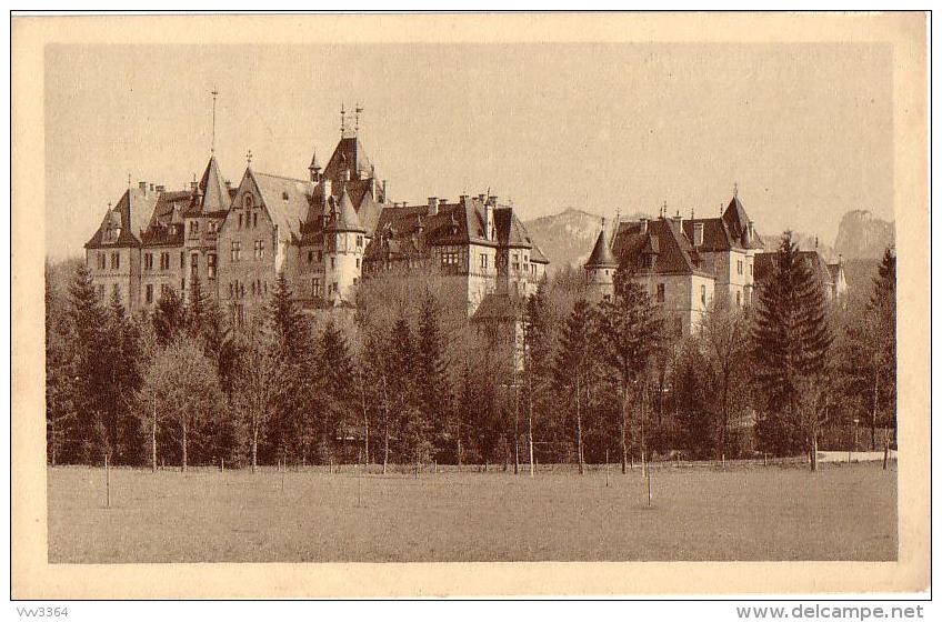 GMUNDEN: Schloss Cumberland - Gmunden