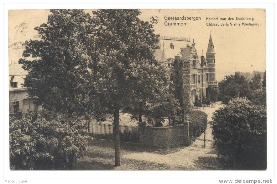 Geraardsbergen (Geeraardsbergen). Grammont. Kasteel Van Den Oudenberg. Château De La Vieille Montagne. - Geraardsbergen