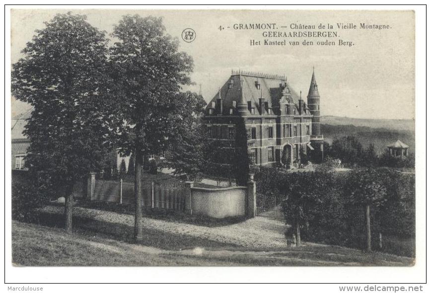 Geraardsbergen (Geeraardsbergen). Grammont. Het Kasteel Van Den Ouden Berg. Château De La Vieille Montagne. Stempel 1926 - Geraardsbergen