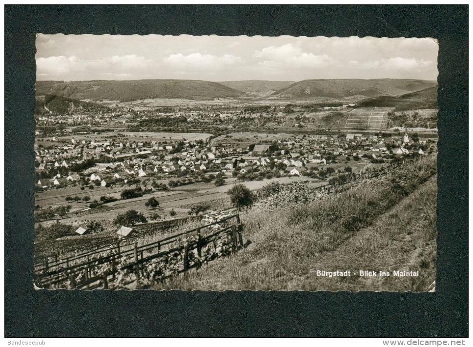 AK - Bürgstadt - Blick Ins Maintal ( Foto Alfred Dittmann) - Burgstädt