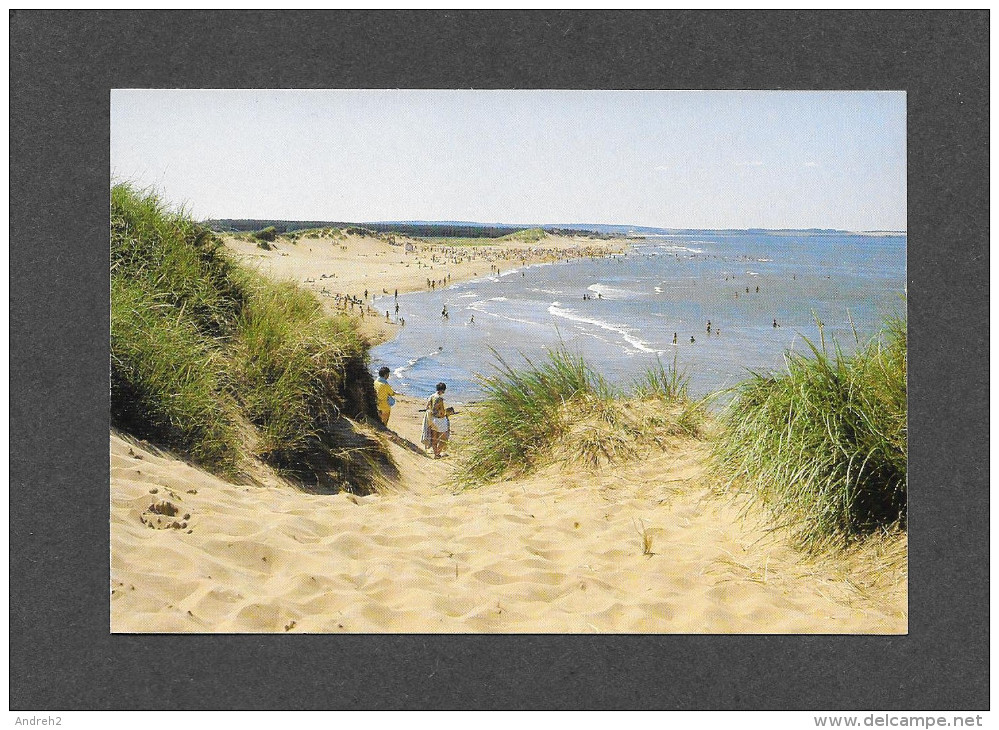 CAVENDISH - ILE DU PRINCE ÉDOUARD - PRINCE EDOUARD ISLAND - LA PLAGE DE CAVENDISH - CAVENDISH BEACH - PAR WINSTON FRASER - Otros & Sin Clasificación