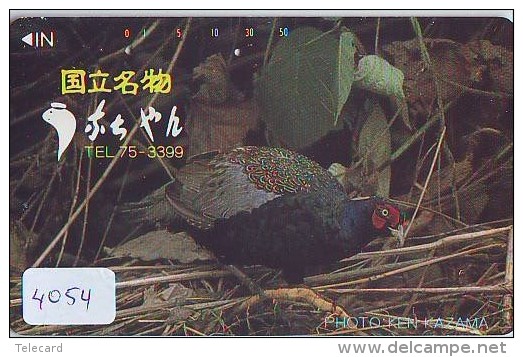 Télécarte Japon  OISEAU * BIRD * VOGEL (4054) PHONECARD JAPAN * TELEFONKARTE - Gallinaceans & Pheasants