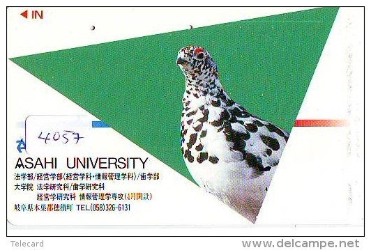 Télécarte Japon  OISEAU * BIRD * VOGEL (4057) PHONECARD JAPAN * TELEFONKARTE - Gallinaceans & Pheasants