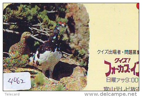 Télécarte Japon  OISEAU * BIRD * VOGEL (4062) PHONECARD JAPAN * TELEFONKARTE - Gallináceos & Faisanes