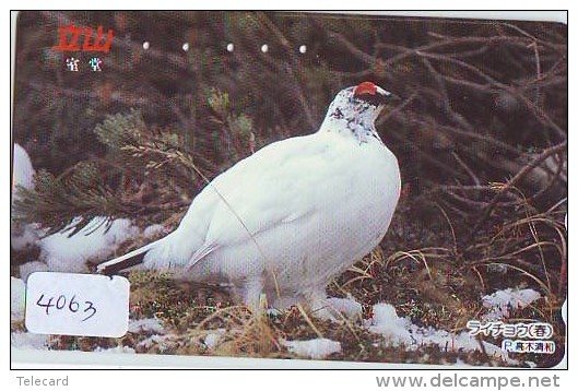 Télécarte Japon  OISEAU * BIRD * VOGEL (4063) PHONECARD JAPAN * TELEFONKARTE - Gallinacés & Faisans