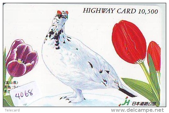 Télécarte Japon  OISEAU * BIRD * VOGEL (4068) PHONECARD JAPAN * TELEFONKARTE - Hühnervögel & Fasanen