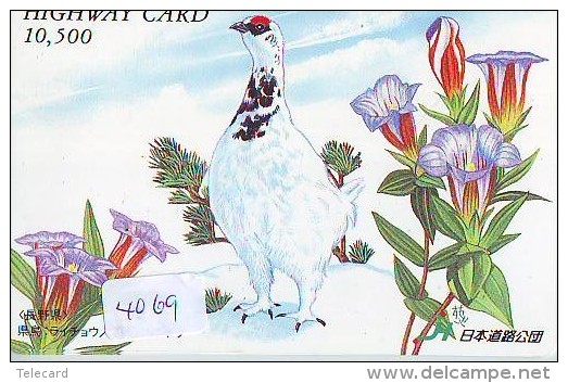 Télécarte Japon  OISEAU * BIRD * VOGEL (4069) PHONECARD JAPAN * TELEFONKARTE - Gallinaceans & Pheasants