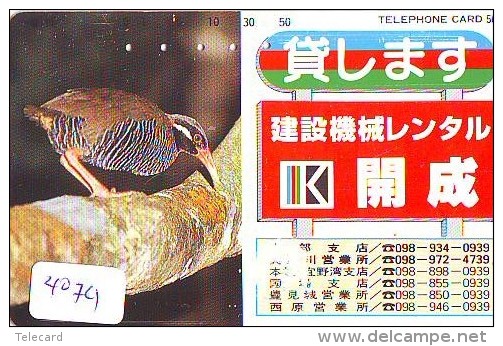 Télécarte Japon  OISEAU * BIRD * VOGEL *  (4074) PHONECARD JAPAN * TELEFONKARTE - Gallinaceans & Pheasants