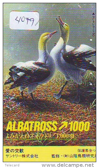 Télécarte Japon  OISEAU * BIRD * VOGEL *  ALBATROSS (4079) PHONECARD JAPAN * TELEFONKARTE - Galline & Gallinaceo