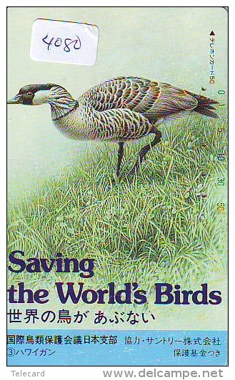 Télécarte Japon  OISEAU * BIRD * VOGEL * SAVING THE WORLDS BIRDS  (4080) PHONECARD JAPAN * TELEFONKARTE - Gallinaceans & Pheasants