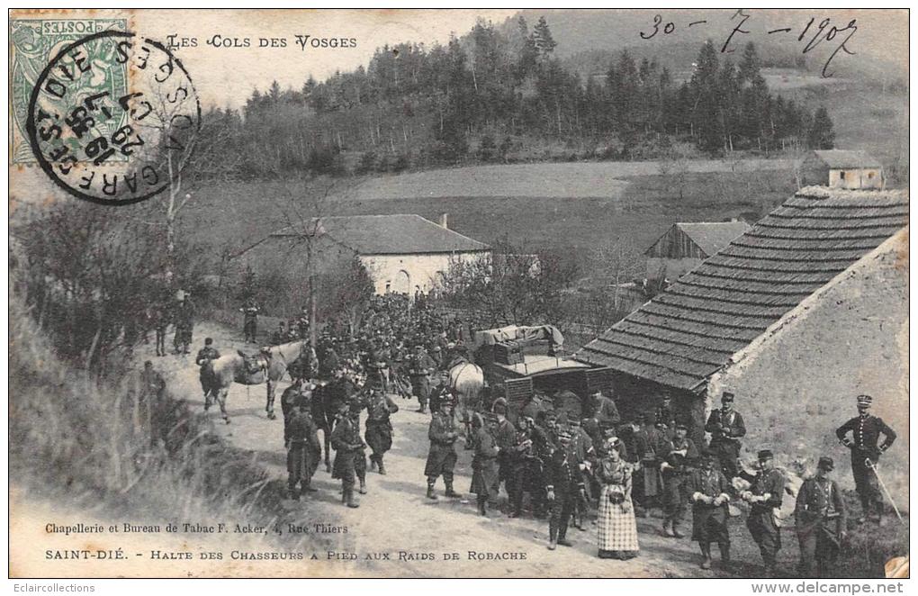 St Dié      88      Halte Des Chasseurs A Pieds - Saint Die