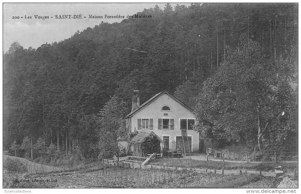 St Dié      88       Maison Forestière Des Molières - Saint Die