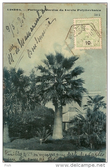 Portugal & Bilhete Postal, Jardim Da Escola Politecnica , Lisboa, Koursk 1908 (134) - Storia Postale