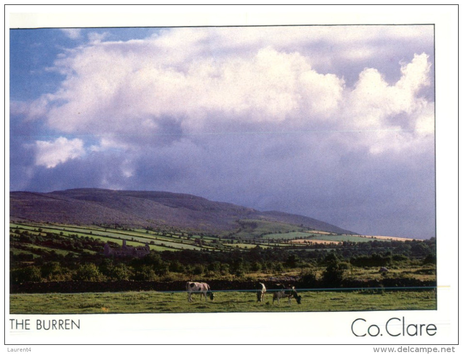 (160) Ireland - Co Claire - Clare
