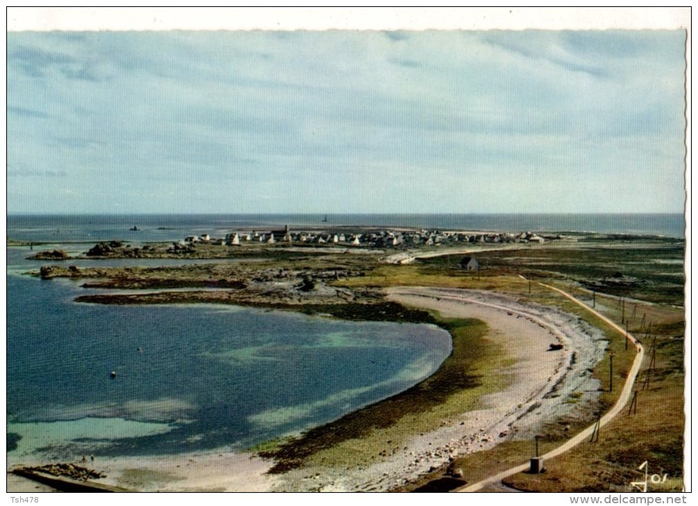 29-----L'ILE DE SEIN--vue Générale Prise Du Phare à L'extrême Pointe--voir 2 Scans - Ile De Sein