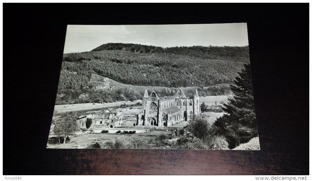 C-23291 CARTOLINA TINTERN ABBEY - GENERAL VIEW FROM S.W. - Monmouthshire