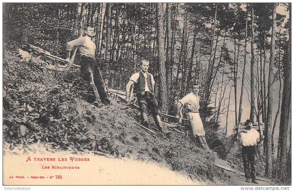 Vosges   88       Schlitteurs. Bois  Forêt - Sonstige & Ohne Zuordnung