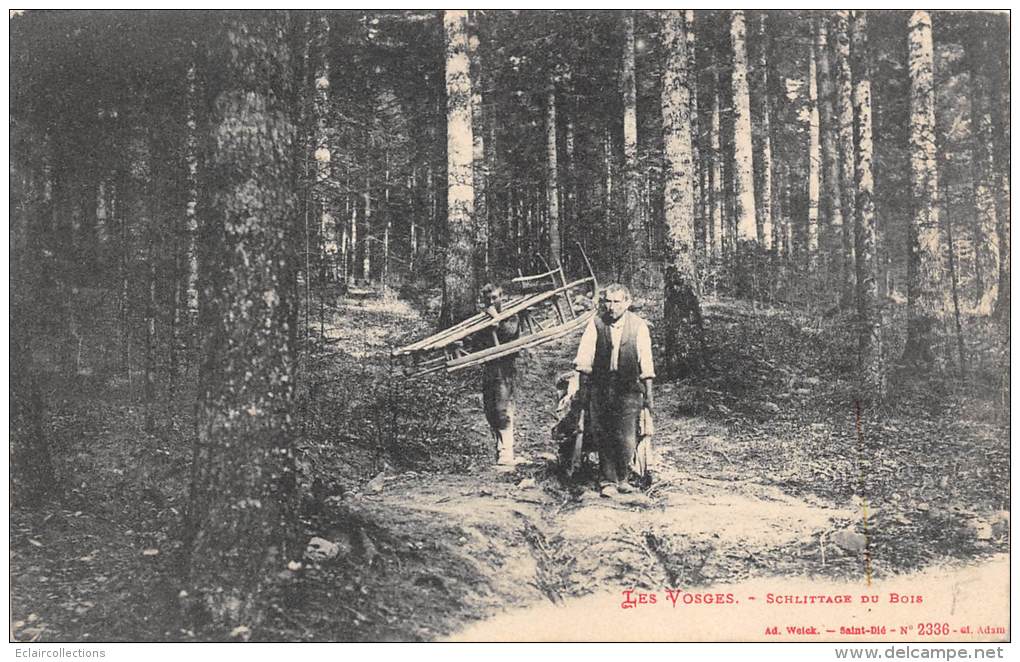 Vosges   88       Schlitteurs. Bois  Forêt - Other & Unclassified