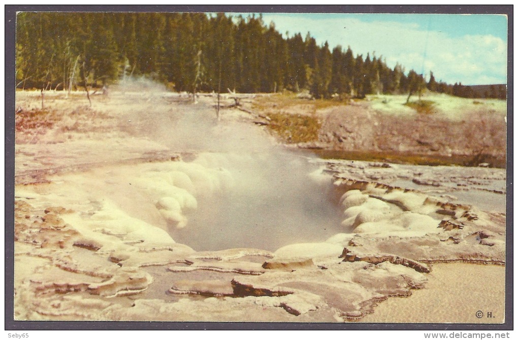 USA - Yellowstone National Park, Oblong Geyser Crater, Upper Basin, Hot Springs, Wyoming PC - Yellowstone