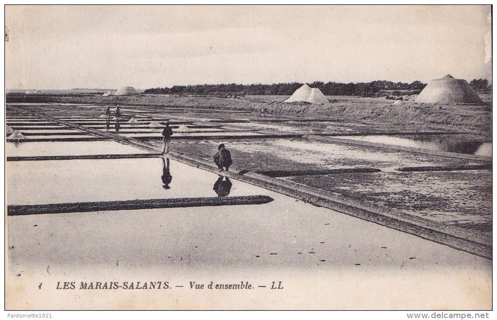 LES MARAIS SALANTS  VUE D'ENSEMBLE (SA) - Pêche